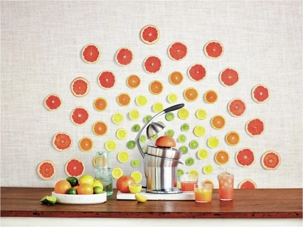 Sage The Citrus Press Pro Zitruspresse Edelstahl 4 Sage The Citrus Press Pro Zitruspresse Edelstahl – Bild 4