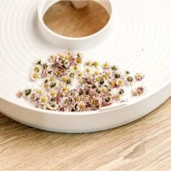 Rommelsbacher DA 750 Dörrautomat Weiß 7 Rommelsbacher DA 750 Dörrautomat Weiß -Xiaomi Geschäft d9904a55 c3b9 4bfd a046 2c9c51b4b34f 600x600