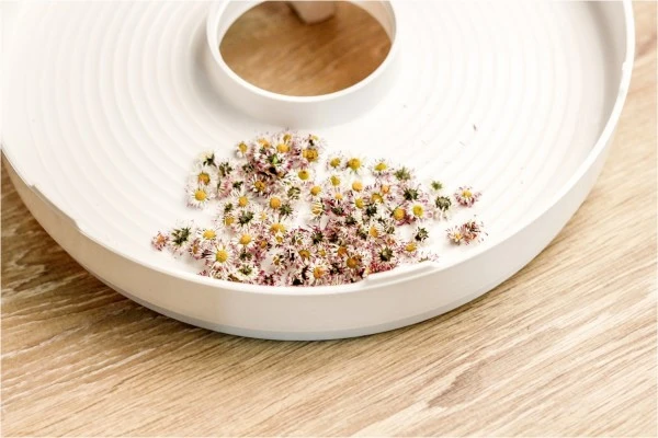 Rommelsbacher DA 750 Dörrautomat Weiß 3 Rommelsbacher DA 750 Dörrautomat Weiß – Bild 3